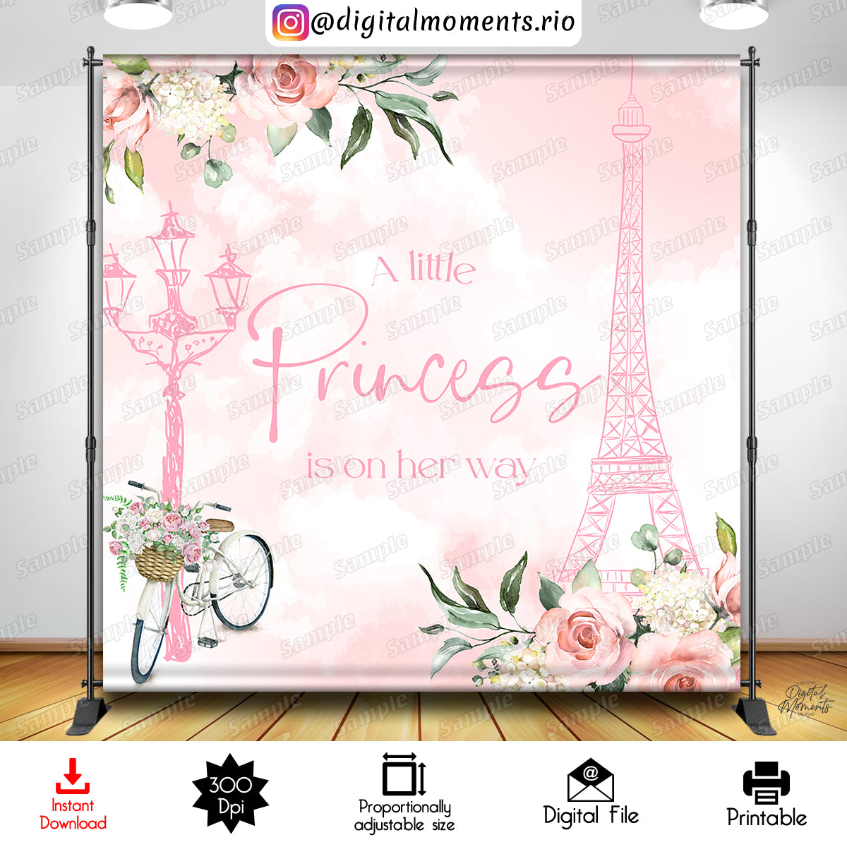 A Little Princess in Paris 8x8 Digital Backdrop Design, Instant Download | Digital Download for Events - Instant Digital Download. 8x8, a, a…
