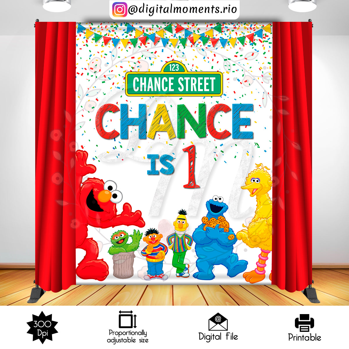 Sesame Street 6x8 Custom Backdrop, Digital file only