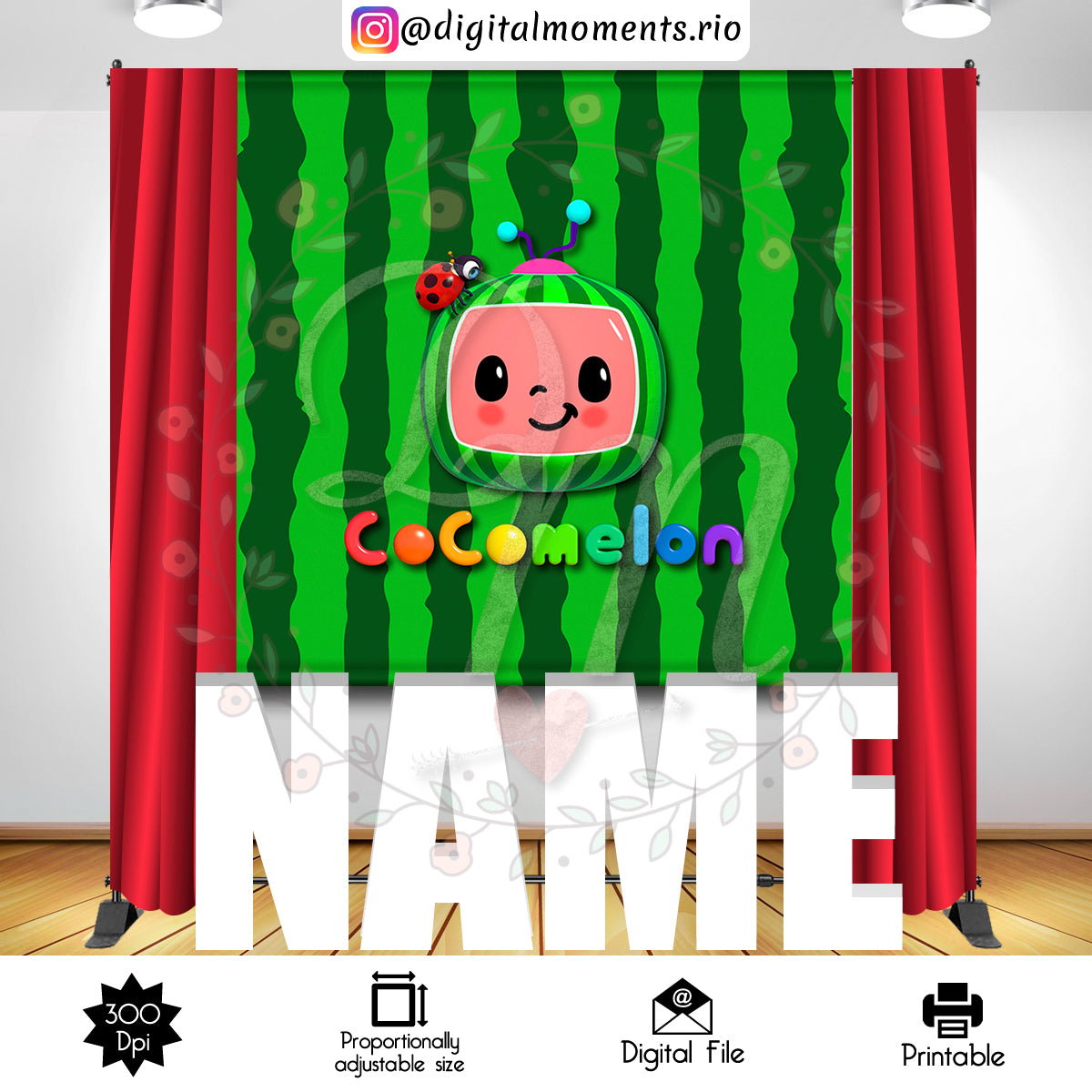 Cocomelon 6x6 Custom Backdrop, Digital file only