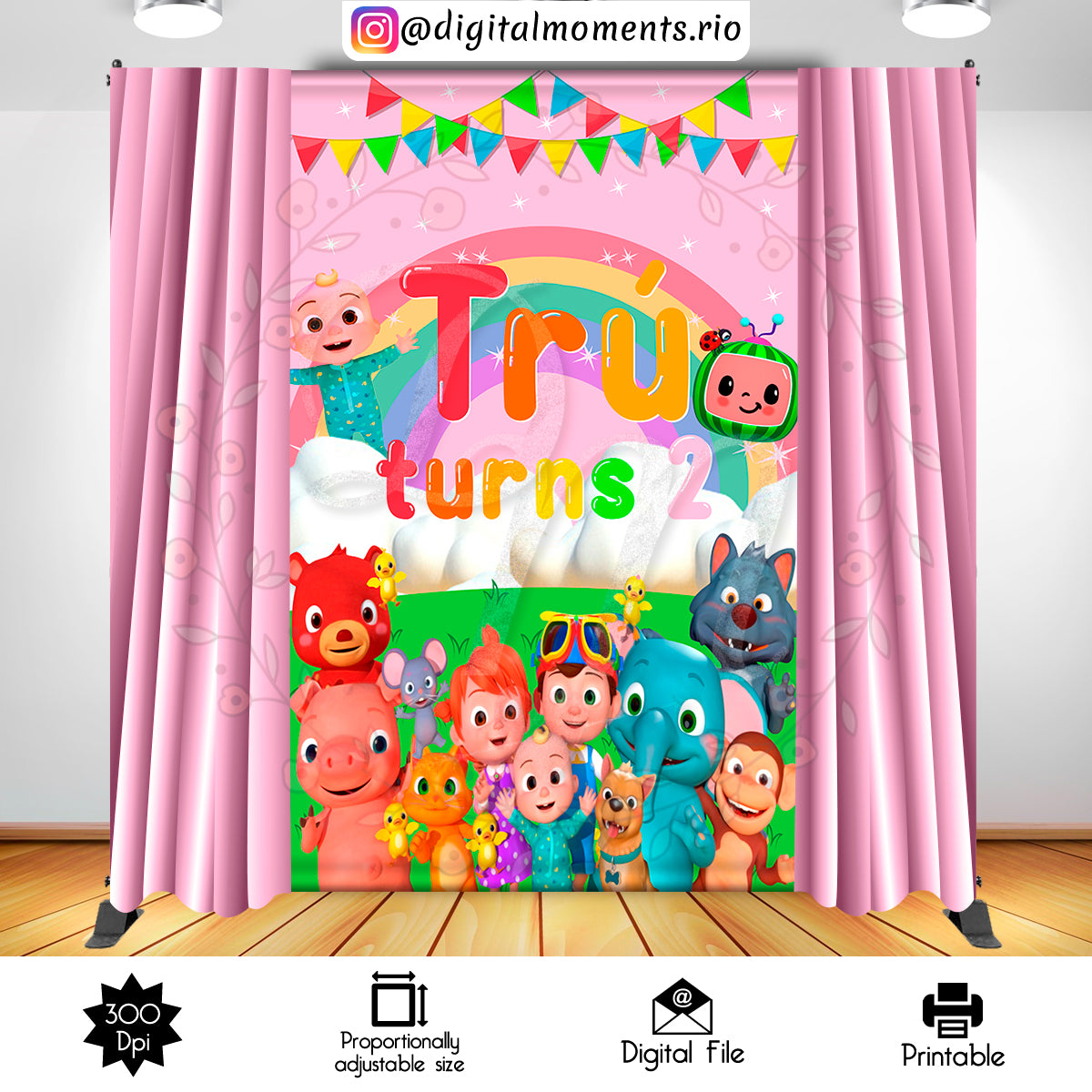 Cocomelon 5x8 Custom Backdrop, Digital file only