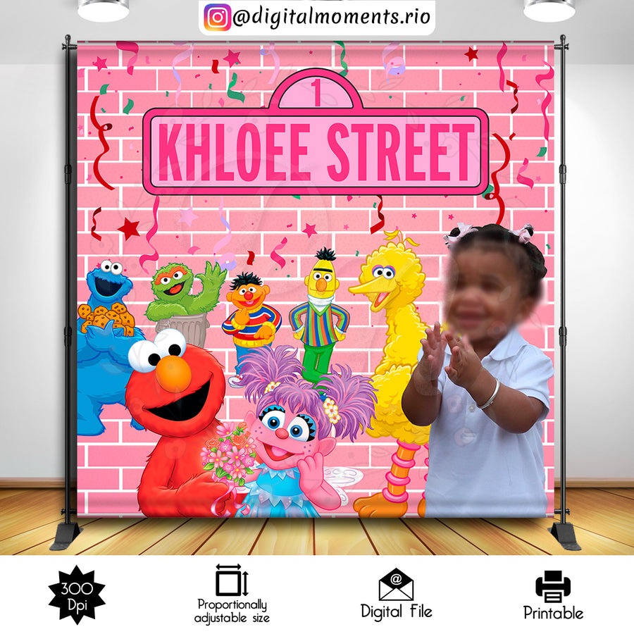 Sesame Street 8x8 Custom Backdrop with picture, Digital file only | Custom Digital Download for Kids Party or Event