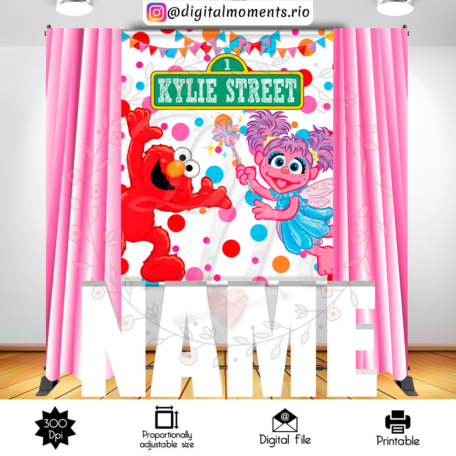 Sesame Street 5x6 Custom backdrop, Digital file only | Custom Digital Download for Kids Party or Event