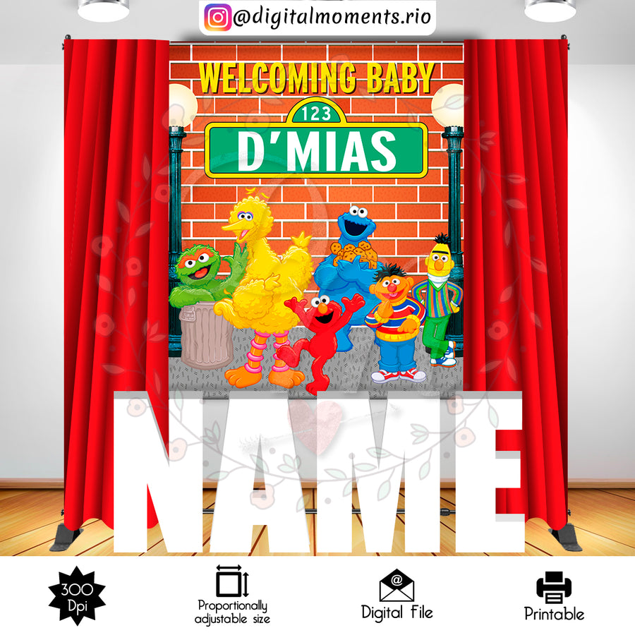 Sesame Street 5x6 Custom backdrop, Digital file only | Custom Digital Download for Kids Party or Event