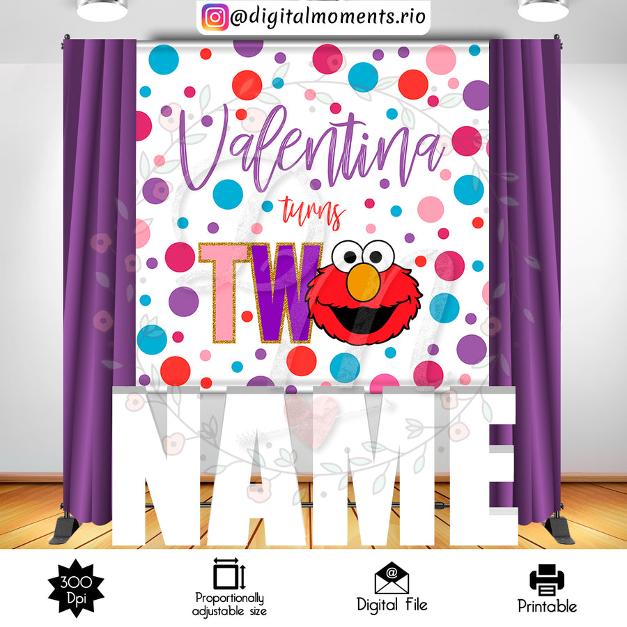 Sesame Street 6x6 Custom Backdrop, Digital file only | Custom Digital Download for Kids Party or Event