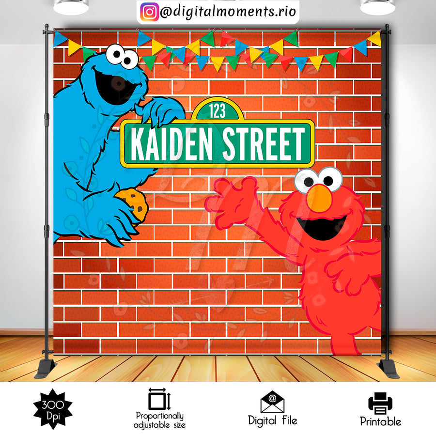 Sesame Street 8x8 Custom Backdrop, Digital file only | Custom Digital Download for Kids Party or Event